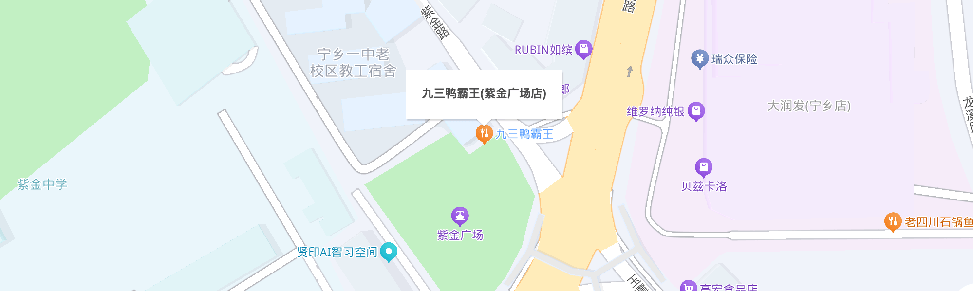 长沙市宁乡市玉潭镇紫金路5号九三鸭霸王